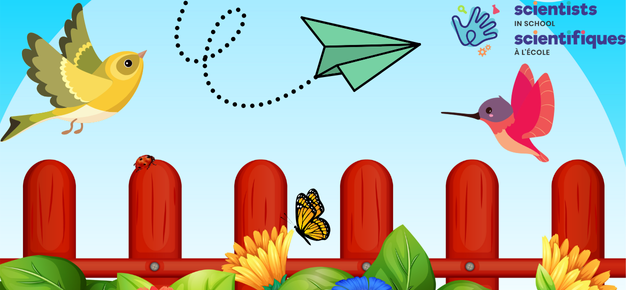 graphic featuring two birds, a butterfly, a ladybug and a paper airplane